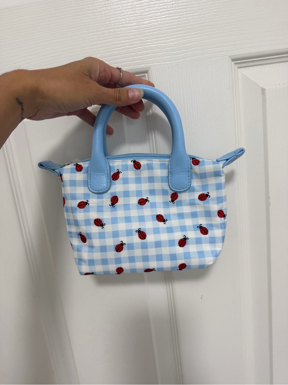 Blue Gingham Ladybug Mini Bag Coquette Cottagecore Crossbody